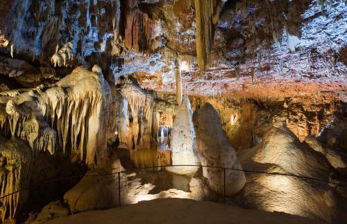 Apartments in Umag - Istrien 12071 - Foto 23