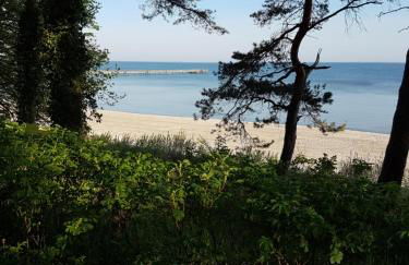 Garten Eden - Foto 16