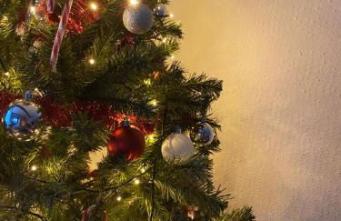 Haus Bornstein - Foto 26