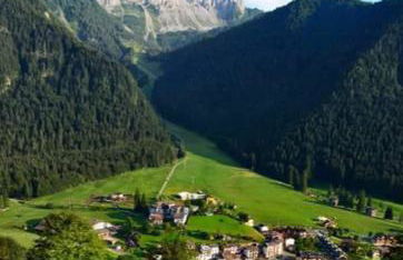 Stella alpina - Foto 15