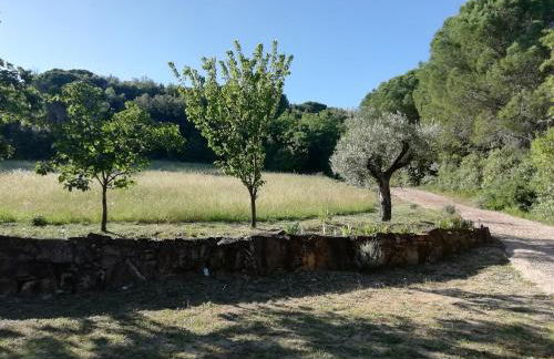 Casa Jacaranda - Foto 4