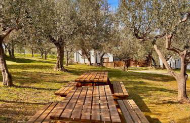 oasi macerina - Foto 49