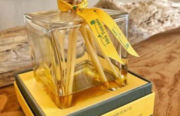 Florence Fevira Airport - Foto 14