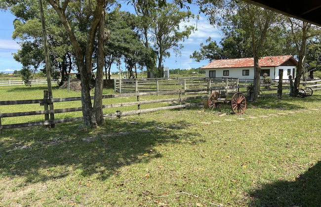 Haras Trevo de Ferro - Photo 33