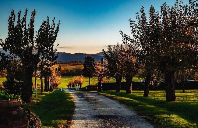 La Polledrara Relais di Campagna - Foto 26