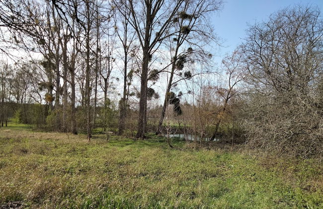 Les Logis de la Seugne - Foto 15