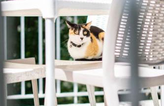 Sousa Horizonte - Louredo - Foto 34