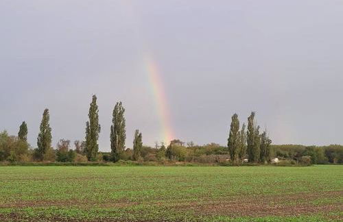 Dorfstübchen - Foto 19