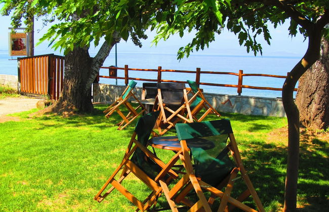 Pandora Studios - Foto 23