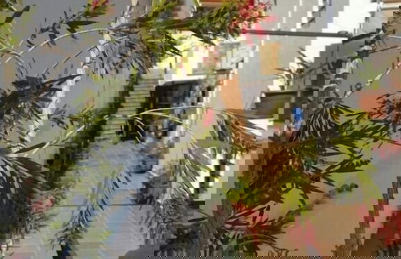 Apartamentos Manbea - Photo 36