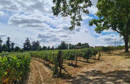 O Cantinho da Penetra AL - Foto 26