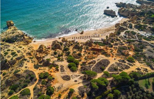 Ocean Vista Retreat with Beach & Pool Access by Drago Rentals - Foto 47