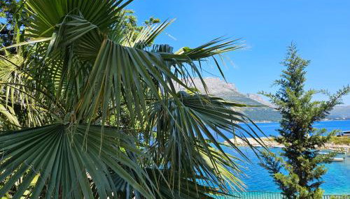 Villa Jade Apartments FRONT ROW SEA VIEW - WALK TO KORCULA OLD TOWN - Foto 4