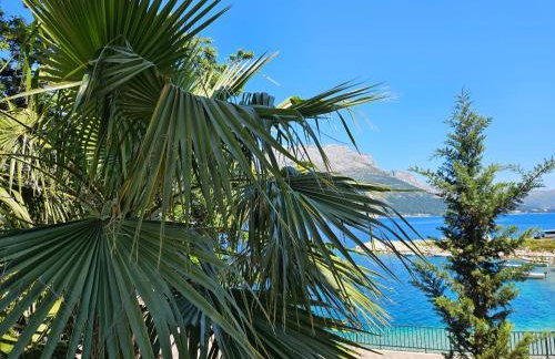 Villa Jade Apartments FRONT ROW SEA VIEW - WALK TO KORCULA OLD TOWN - Foto 4