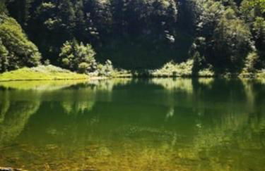 Le Loft Doré - Foto 45