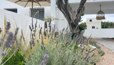 Casa di Amerissa Premium Accommodation - Foto 5, Garden