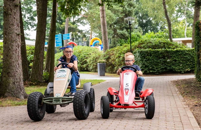Luxury Chalet With Dishwasher, in a Holiday Park in the Middle of De Veluwe - Foto 24