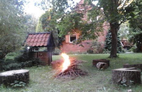 Dziki brzeg Jezioraka - Foto 24