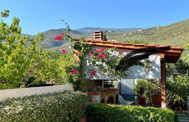 Reven Resort - Foto 15