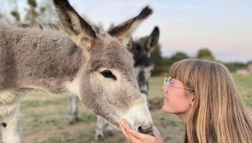 Jolie Tiny House sous les Grands Arbres - Photo 5
