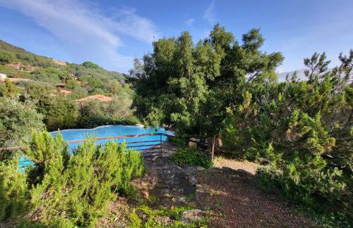 Casa with pool near Palombaggia - Photo 17