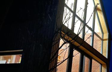 Johatsu - Między niebem a rumianem - Foto 11