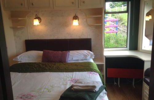 Glan Llyn Farm House - Foto 46