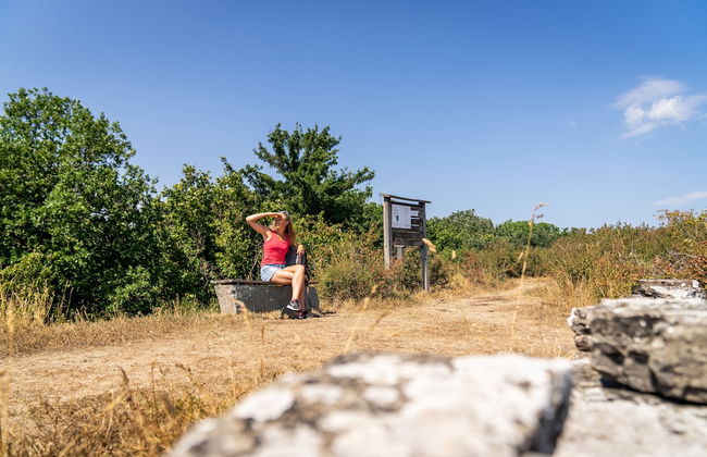 Haga Park Camping & Stugor - Foto 32