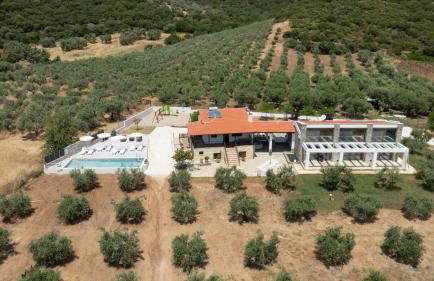 Casa Del Olivar - Foto 1