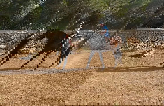 Agroturismo Biniati Des Pi - Photo 20