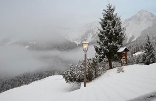 Hotel Rikhelan - Foto 50