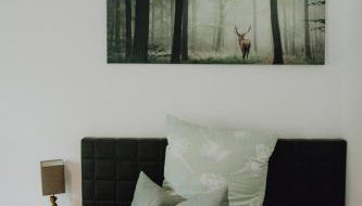 Stadt Land Fluss Boutique Aparthotel by Zollhaus - Foto 2