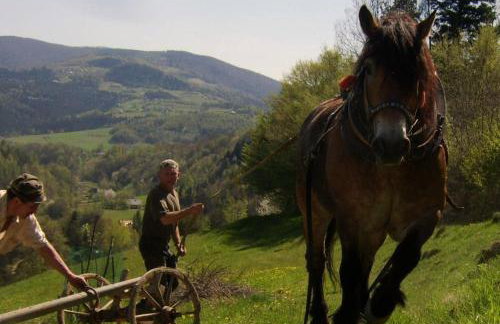 Agroturystyka Millerówka - Photo 11