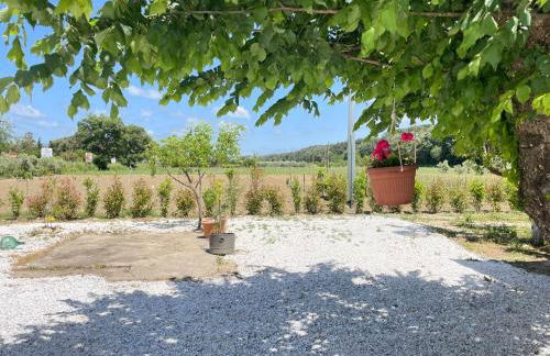 Il Leccio Agriturismo - Foto 66