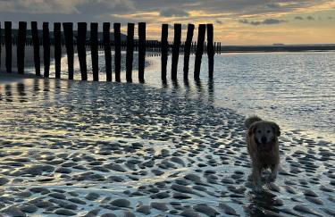 L œil de sangatte - Foto 22