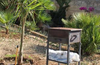 Appartamento Il Mandorlo - Custonaci - Foto 6