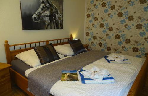 Wohlfühlurlaub auf dem Reit- und Ferienhof Goldberg - Foto 27