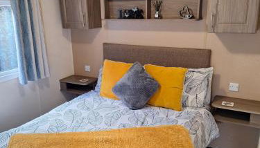 The Hummingbird - Photo 2