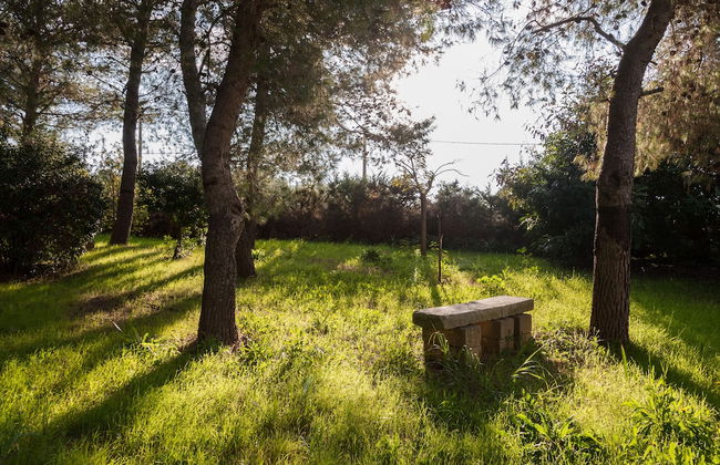 Azienda Agricola Francesca Stajano - Foto 65