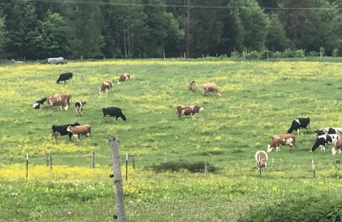 Ferien auf dem Eliesenhof - Foto 37