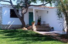 La Luciérnaga - Foto 54