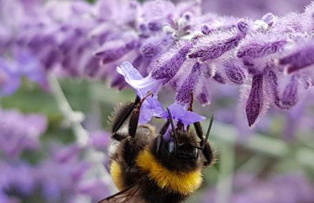 Superior - Ferienhaus am Engelsbach im Thüringer Wald - Photo 52
