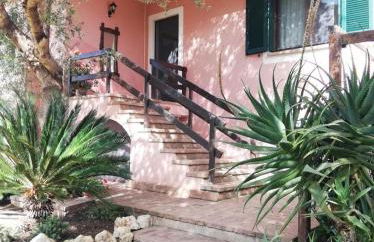 Domo Rosada - Foto 6