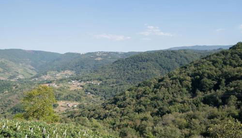 PENSION BOUTIQUE TEIXEIRA, 3 ESTRELLAS - Foto 3