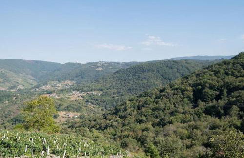 PENSION BOUTIQUE TEIXEIRA, 3 ESTRELLAS - Foto 3