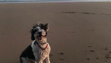 EL RINCÓN DE DENVER - Foto 5