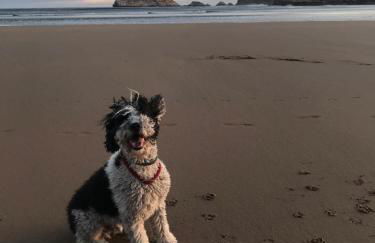 EL RINCÓN DE DENVER - Foto 5