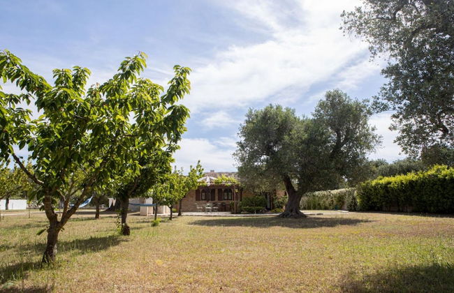 Trullo Degli Ulivi con Piscina e Idromassaggio - Foto 43