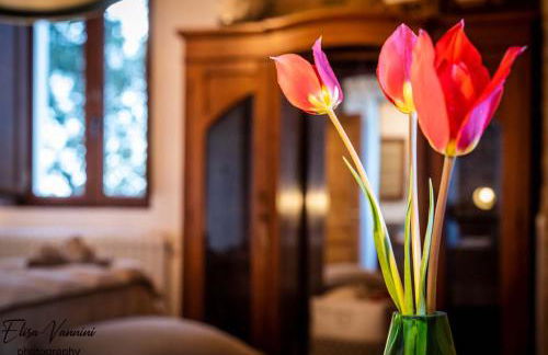 Partino ArtHouse - Foto 46