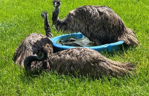 Peacock Barn - Photo 36